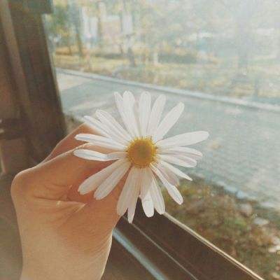 斩月屠龙合击版下载