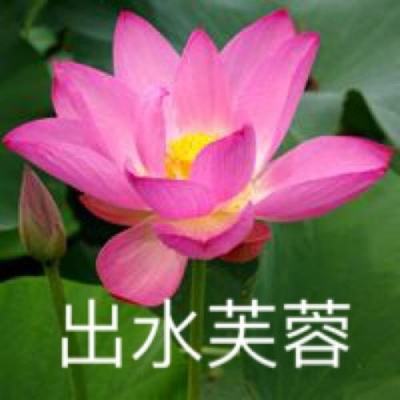 34563玩幻剑仙缘下载